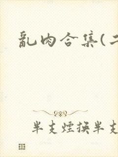乱肉合集(二)封面