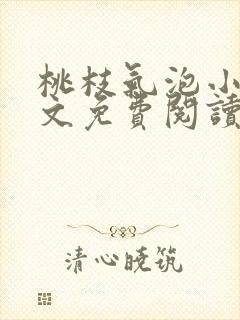 桃枝气泡小说全文免费阅读封面