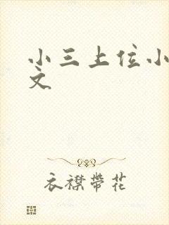 小三上位小说全文