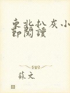 东北扒灰小说分节阅读