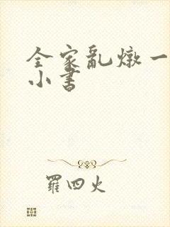 全家乱炖一锅烩小书