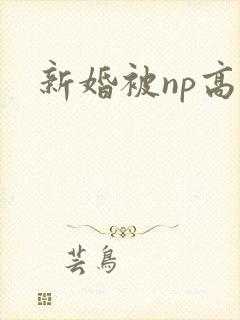 新婚被np高h
