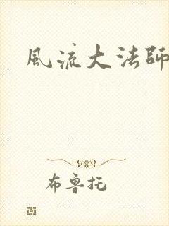 风流大法师