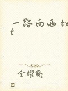 一路向西 txt封面