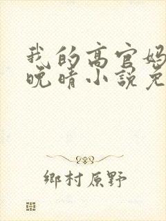 我的高官妈妈苏晚晴小说免费阅读封面