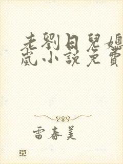 老刘日儿媳妇张岚小说免费阅读