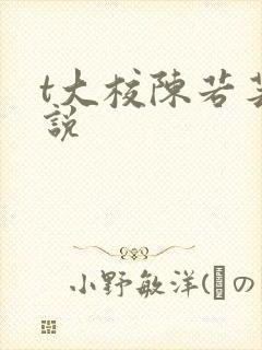 t大校陈若芸小说