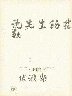 沈先生的花式调数