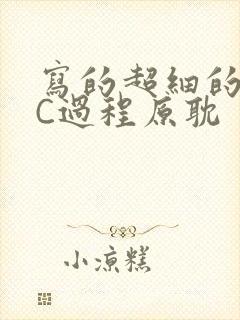 写的超细的多肉C过程原耽