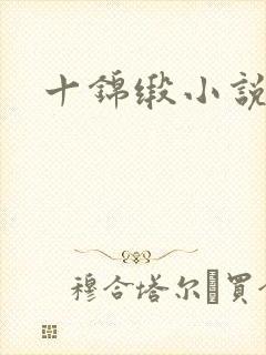 十锦缎小说