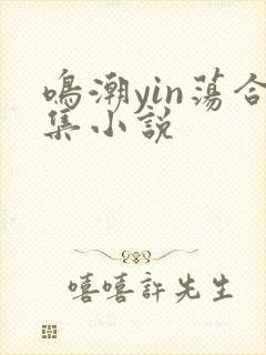 鸣潮yin荡合集小说封面