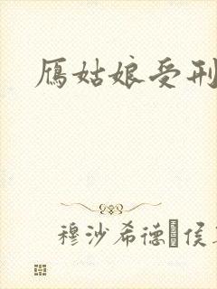 雁姑娘受刑记封面