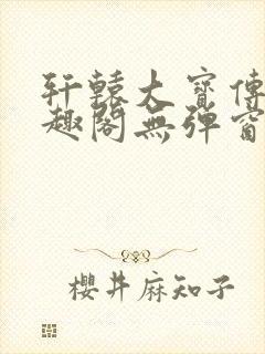 轩辕大宝传奇笔趣阁无弹窗