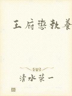 王府惩教养日常