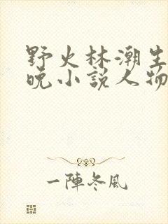 野火林潮生林晚晚小说人物野火