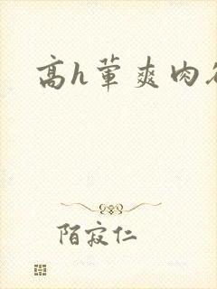 高h荤爽肉欲文