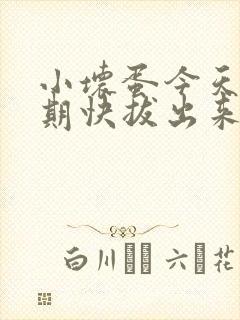 小坏蛋今天危险期快拔出来