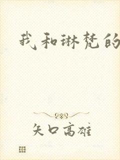 我和琳梵的故事封面