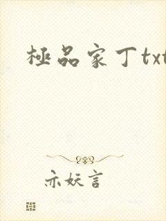 极品家丁txt
