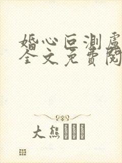 婚心叵测卢丹妮全文免费阅读小说封面