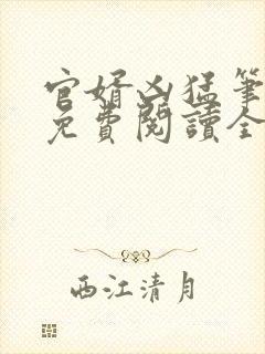 官婿凶猛笔趣阁免费阅读全文封面