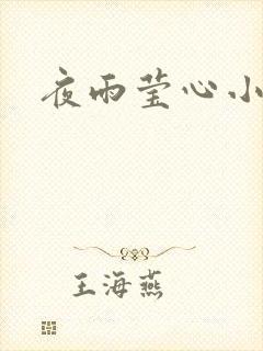 夜雨莹心小说