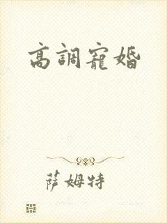 高调宠婚