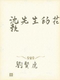 沈先生的花式调教封面