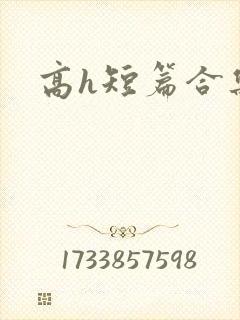 高h短篇合集封面