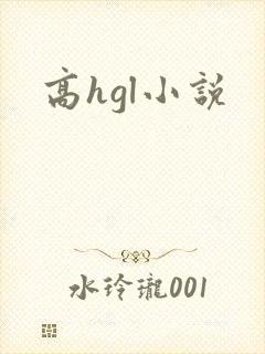 高hgl小说封面