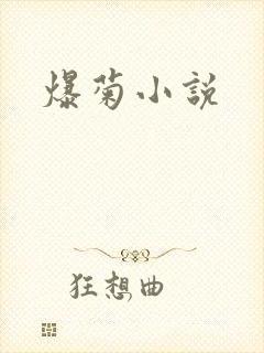 爆菊小说