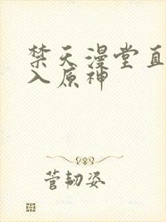 禁天漫堂直接进入原神