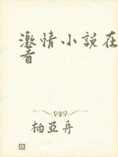 激情小说在线观看