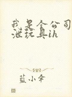 我是全公司的发泄玩具ih