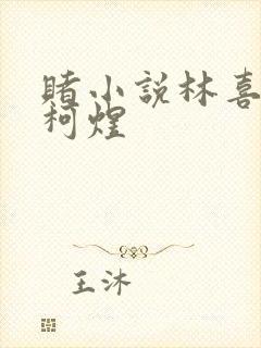 赌小说林喜朝和柯煜