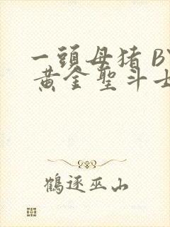 一头母猪 BY 黄金圣斗士