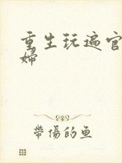 重生玩遍官场贵妇