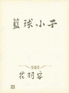 篮球小子