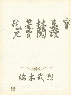 我是林喜宝小说免费阅读