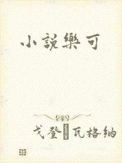 小说乐可封面