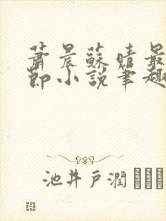 萧晨苏晴最新章节小说笔趣阁