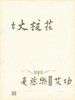 t大校花