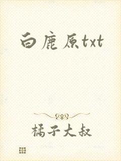 白鹿原txt封面