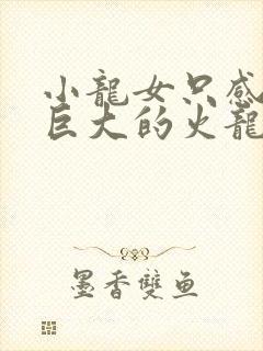 小龙女只感觉那巨大的火龙枪