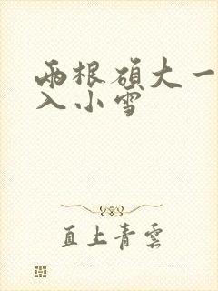 两根硕大一起挤入小雪封面