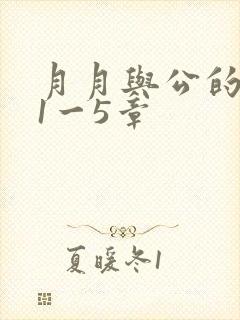 月月与公的激情1一5章