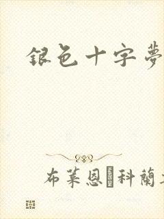 银色十字梦封面