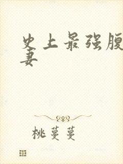 史上最强腹黑夫妻封面