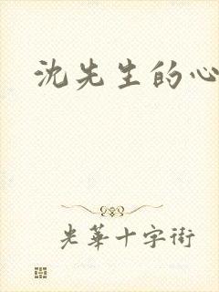 沈先生的心头宝