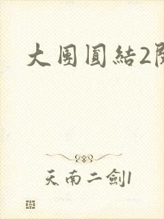 大团圆结2阅读封面